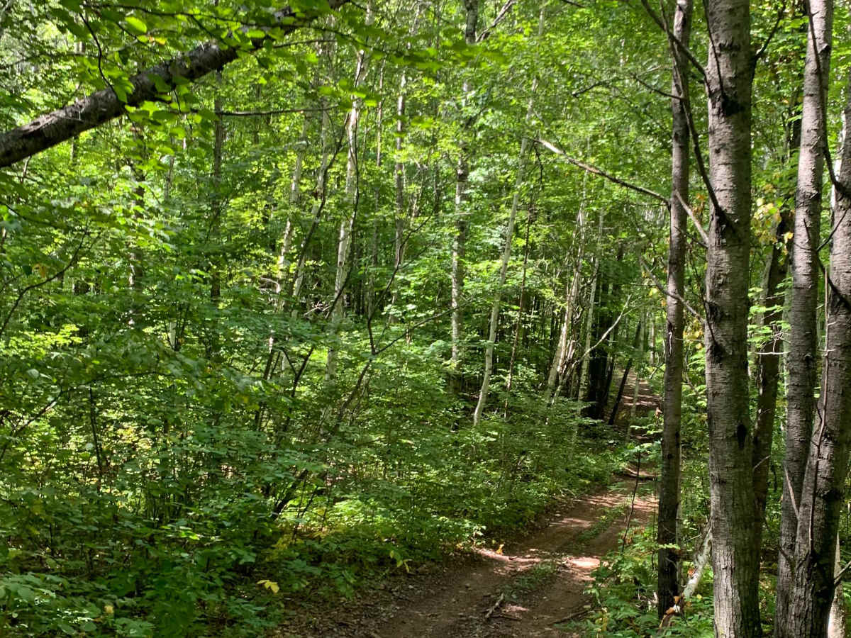 Berthiaume Trail photo 3