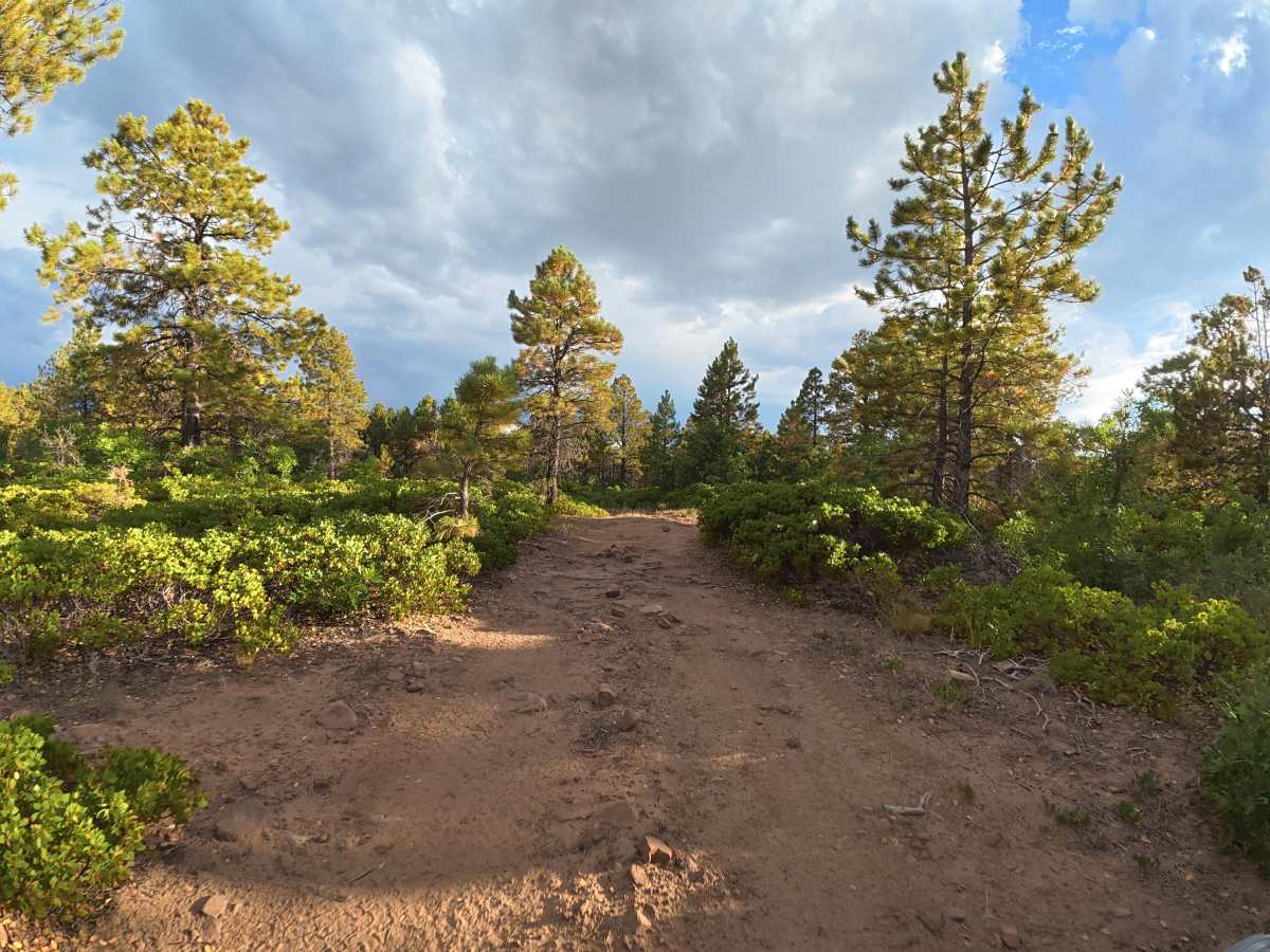 Bug Point Road trail photo