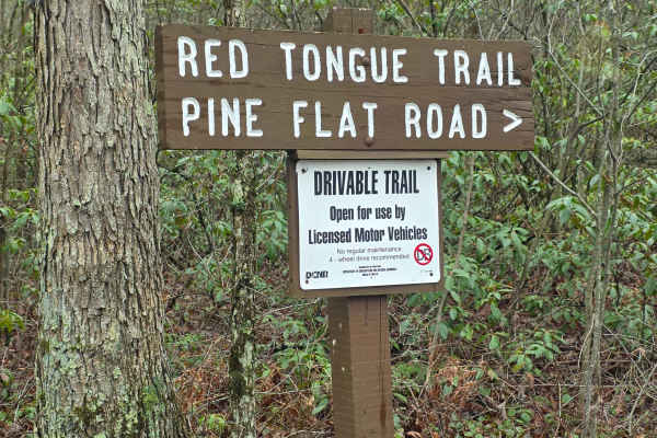 Red Tongue Trail