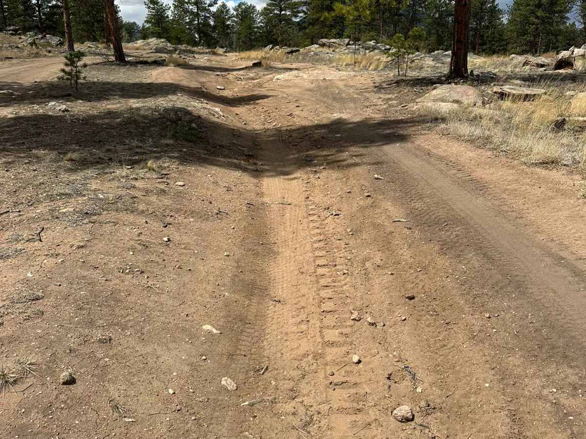 Confirmed Road photo 3