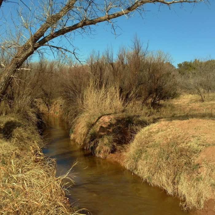 Prairie Dog Town Fork of the Red River along Pioneer Nature Trail. Near Kiowa Trail