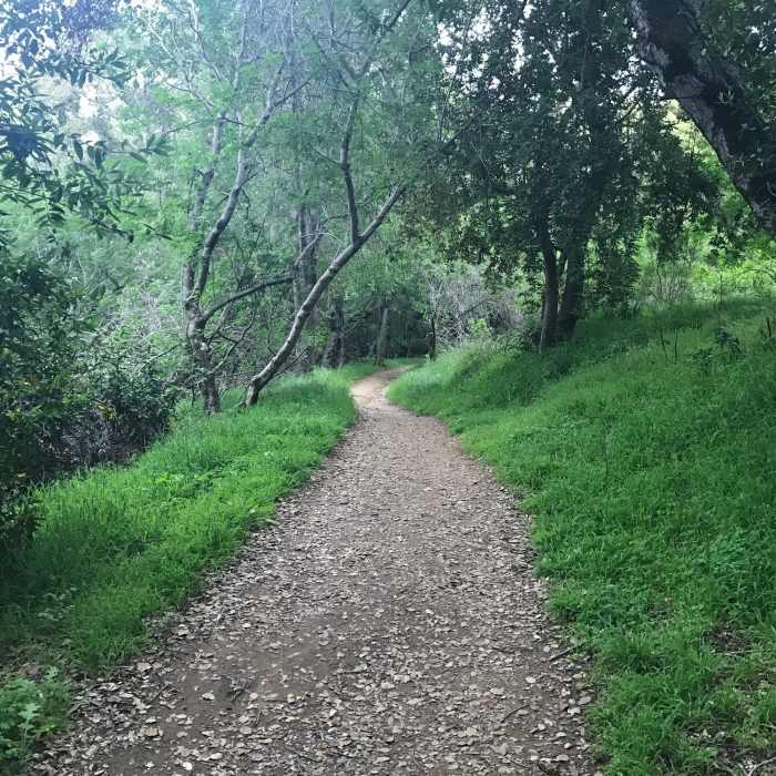 Near Fremont Older to Steven's Creek Reservoir Loop