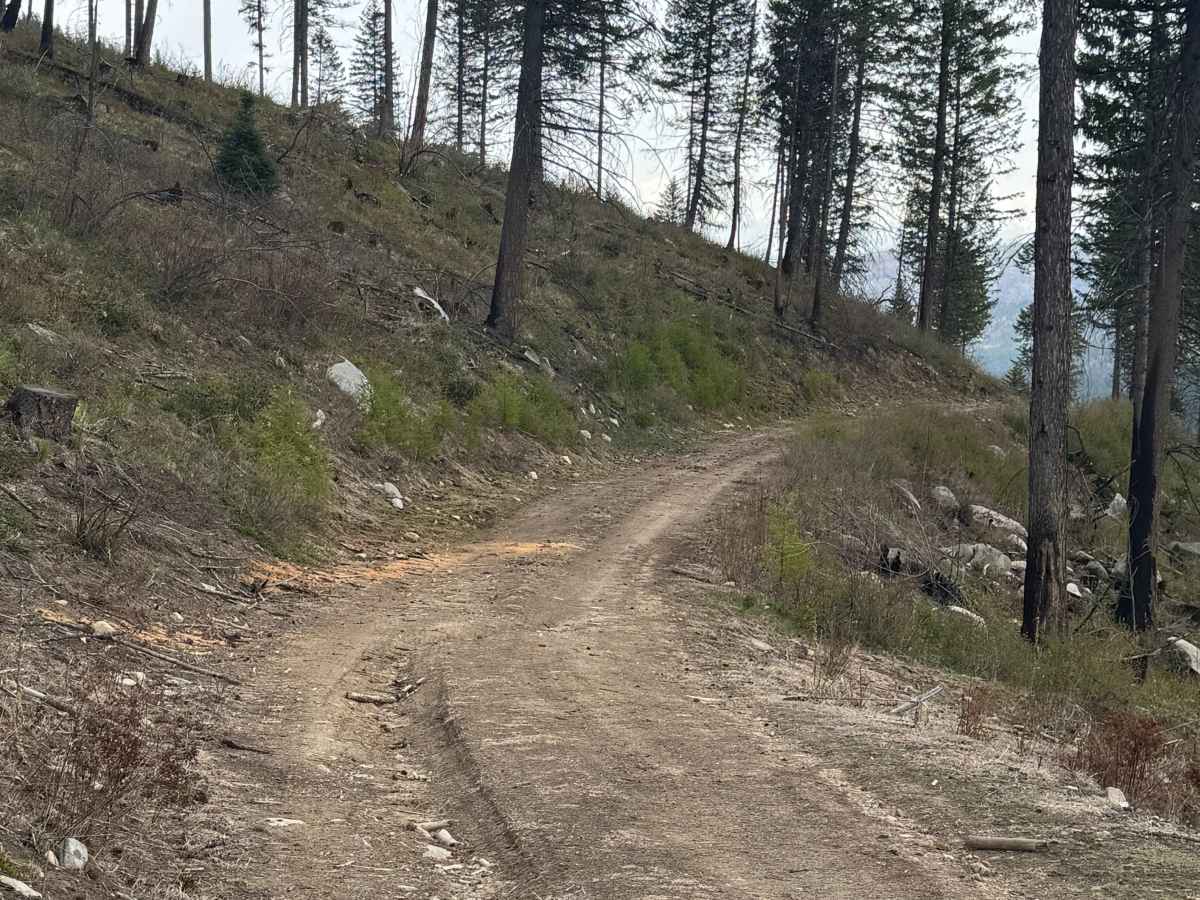 FS 6100-078 trail photo