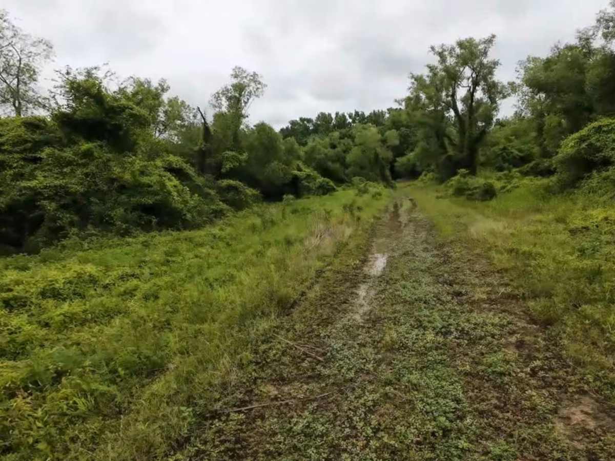 Burnett Trail photo 5