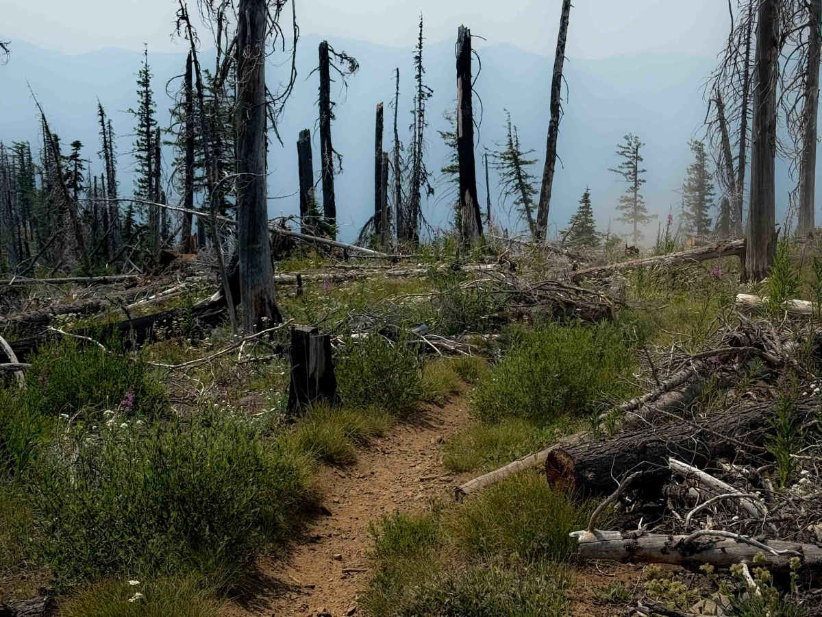 Sasse Mountain (Upper) 1340   photo 6
