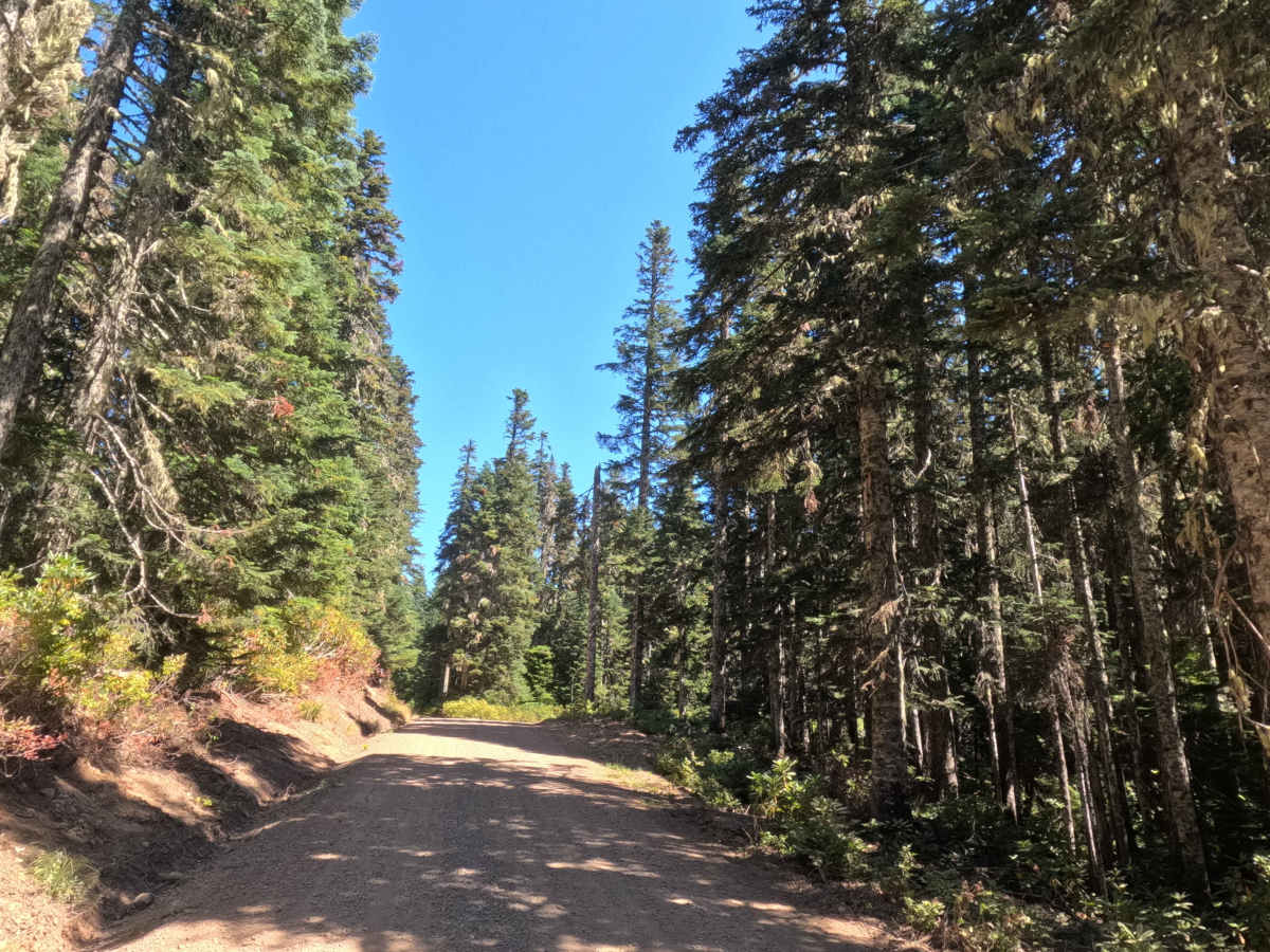 Abbott Road East - FS 4610000 photo 6