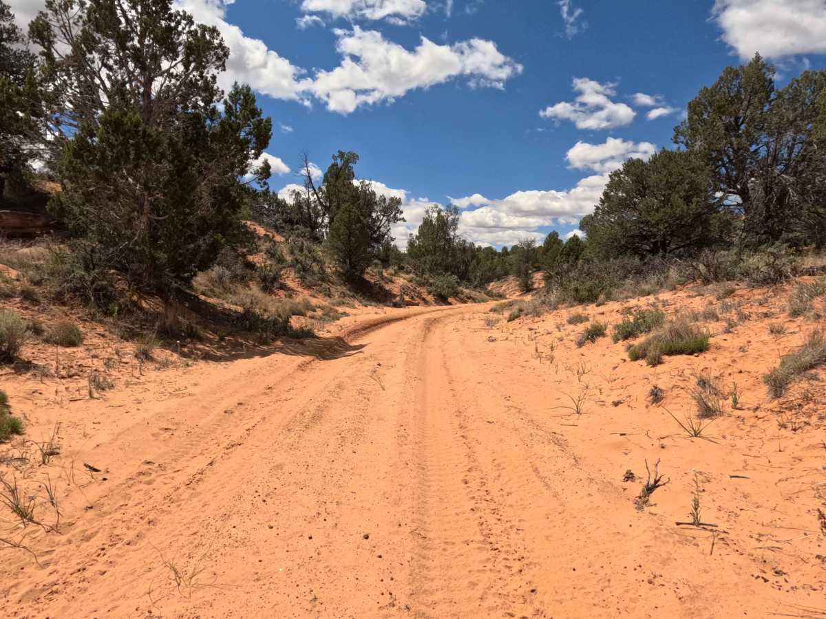 BLM 101F photo 2