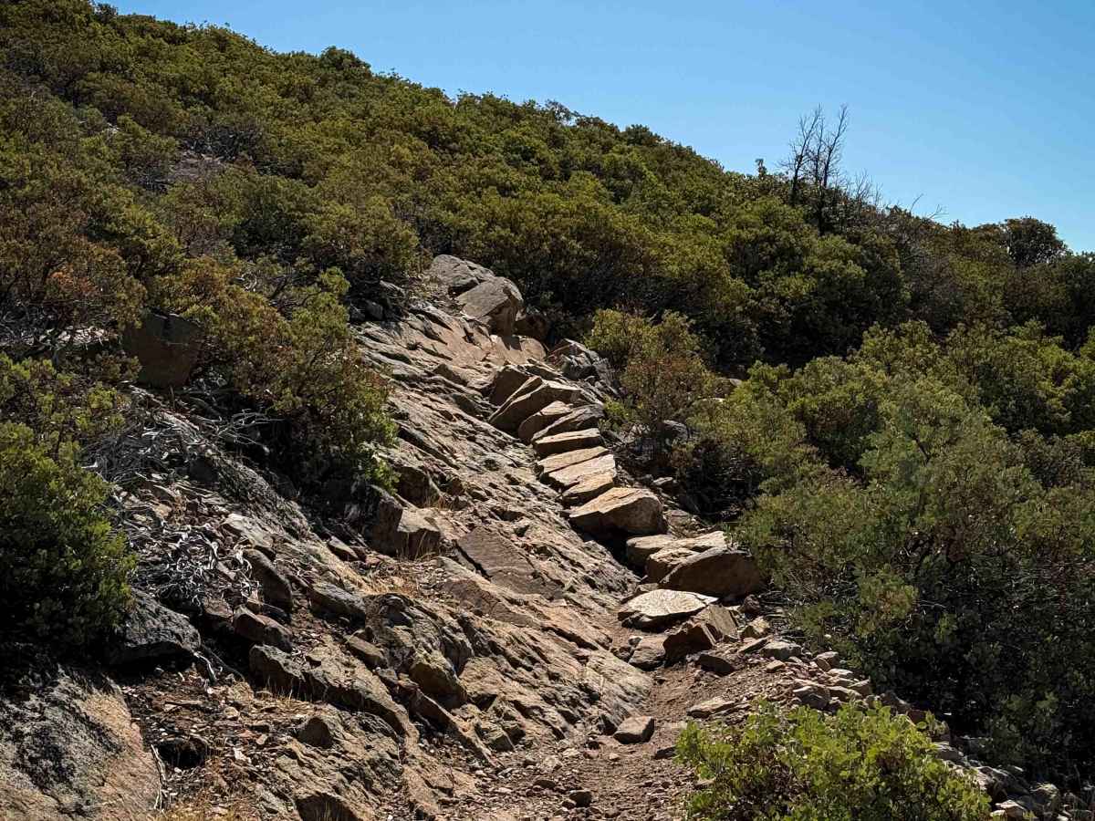 Trail 10 (11E44)  photo 3
