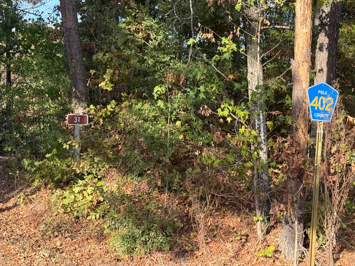 54100 trail photo