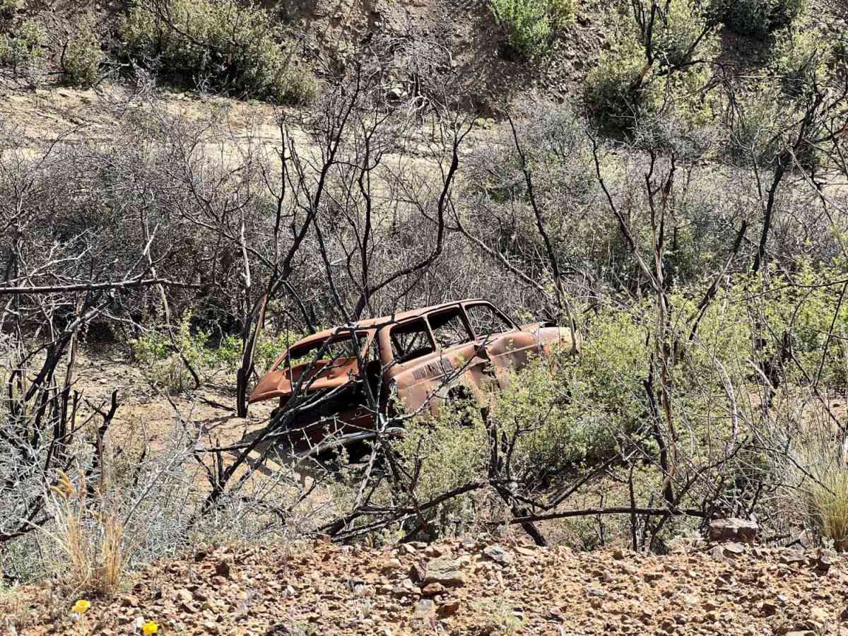 Buckhorn Road in the Bradshaw Mountains photo 4