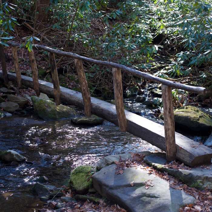 Near Gregory Ridge Trail