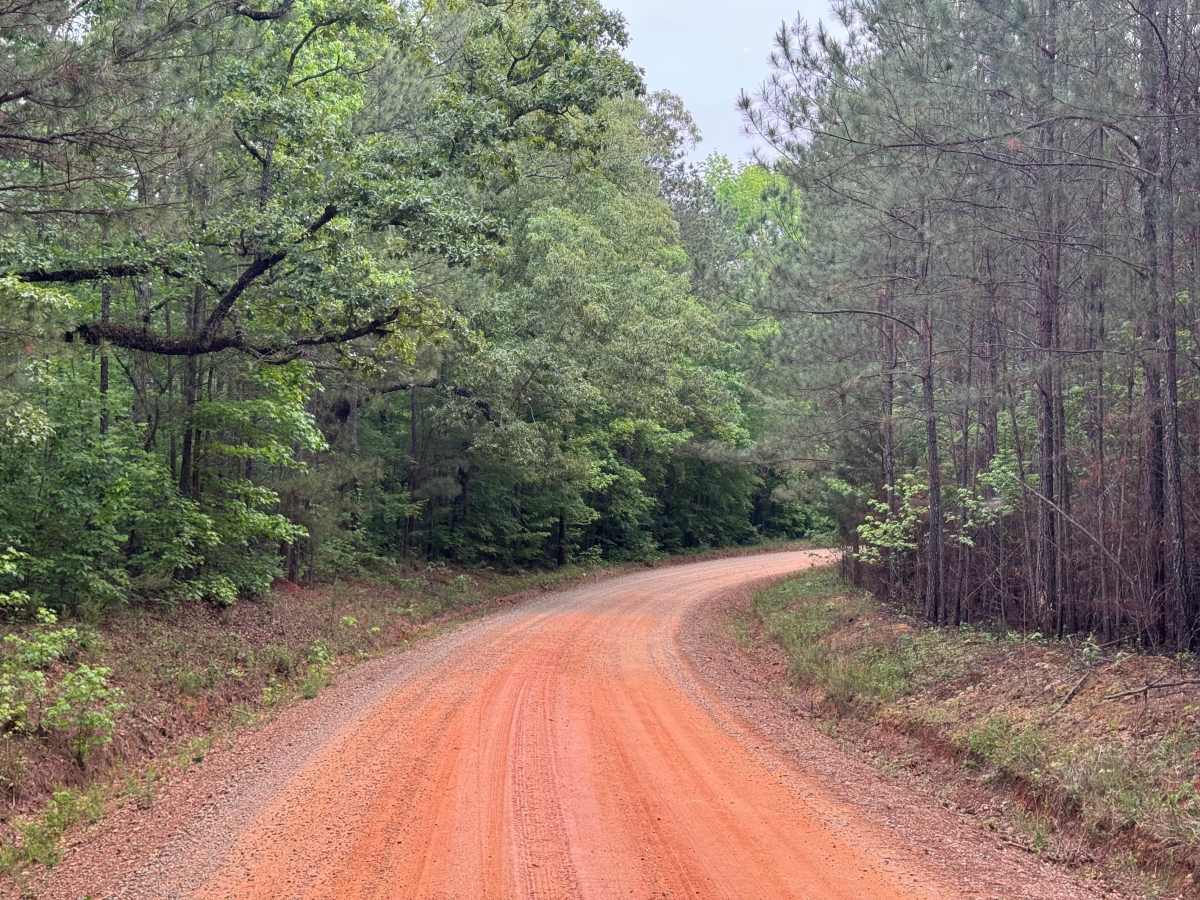 Five Points Road photo 3