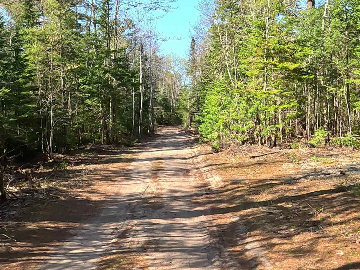 North Beaver Road - West photo 4