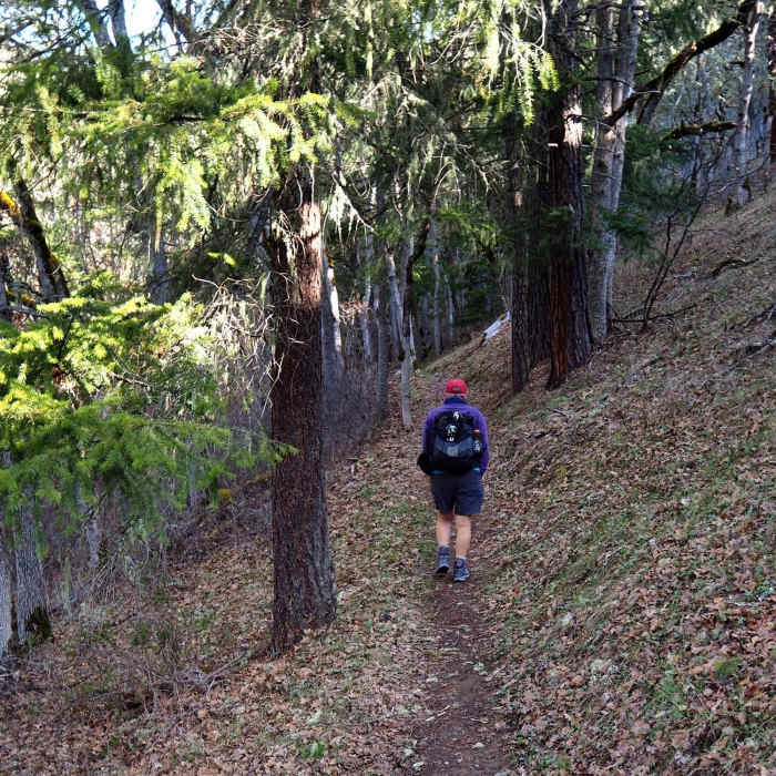 Near Bear Gulch Trail