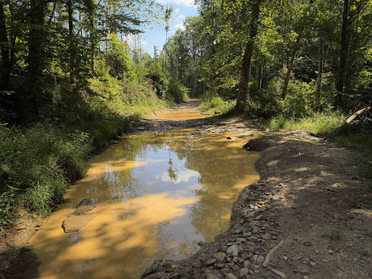 Ollie’s Creek Trail 2  photo 6