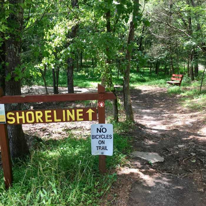 Near Shoreline + High Ridge Trail Loop