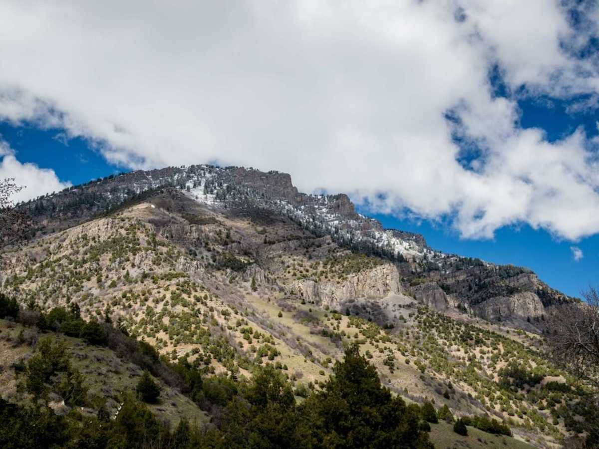 Left Hand Fork Trail photo 2