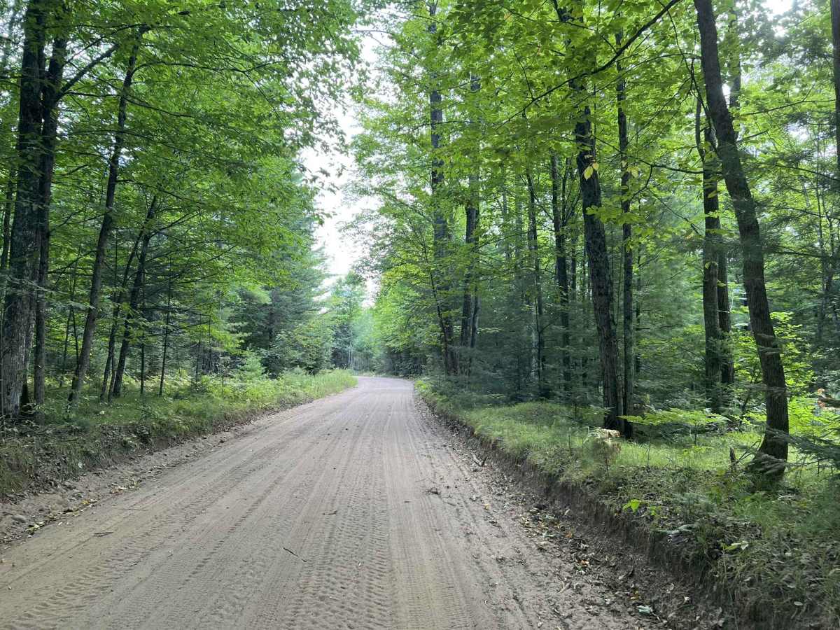 Route FIR - Forest Road 31616 photo 6