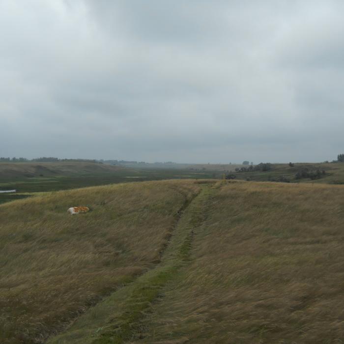Near North Country Trail: Lonetree WMA Valley View Hike