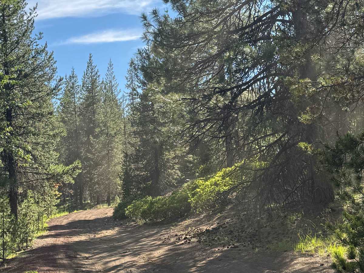 Meadow Lake - FS 2076-900 trail photo