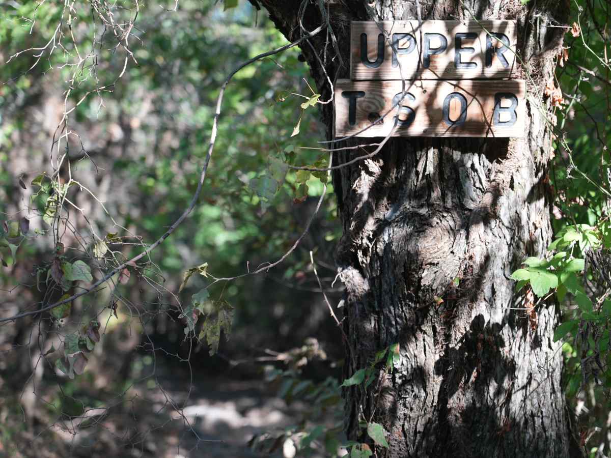 Upper T.S.O.B. trail photo
