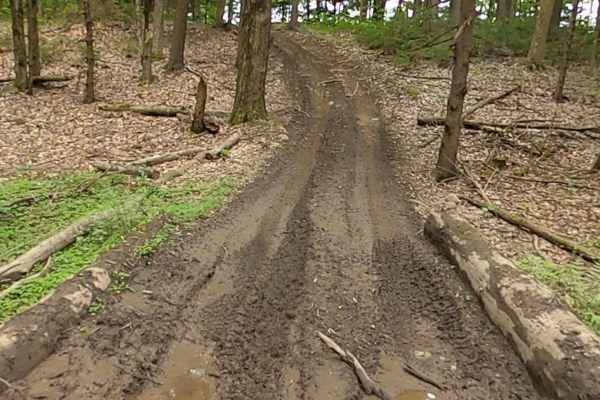 Lewis County Area A - Blue Trail