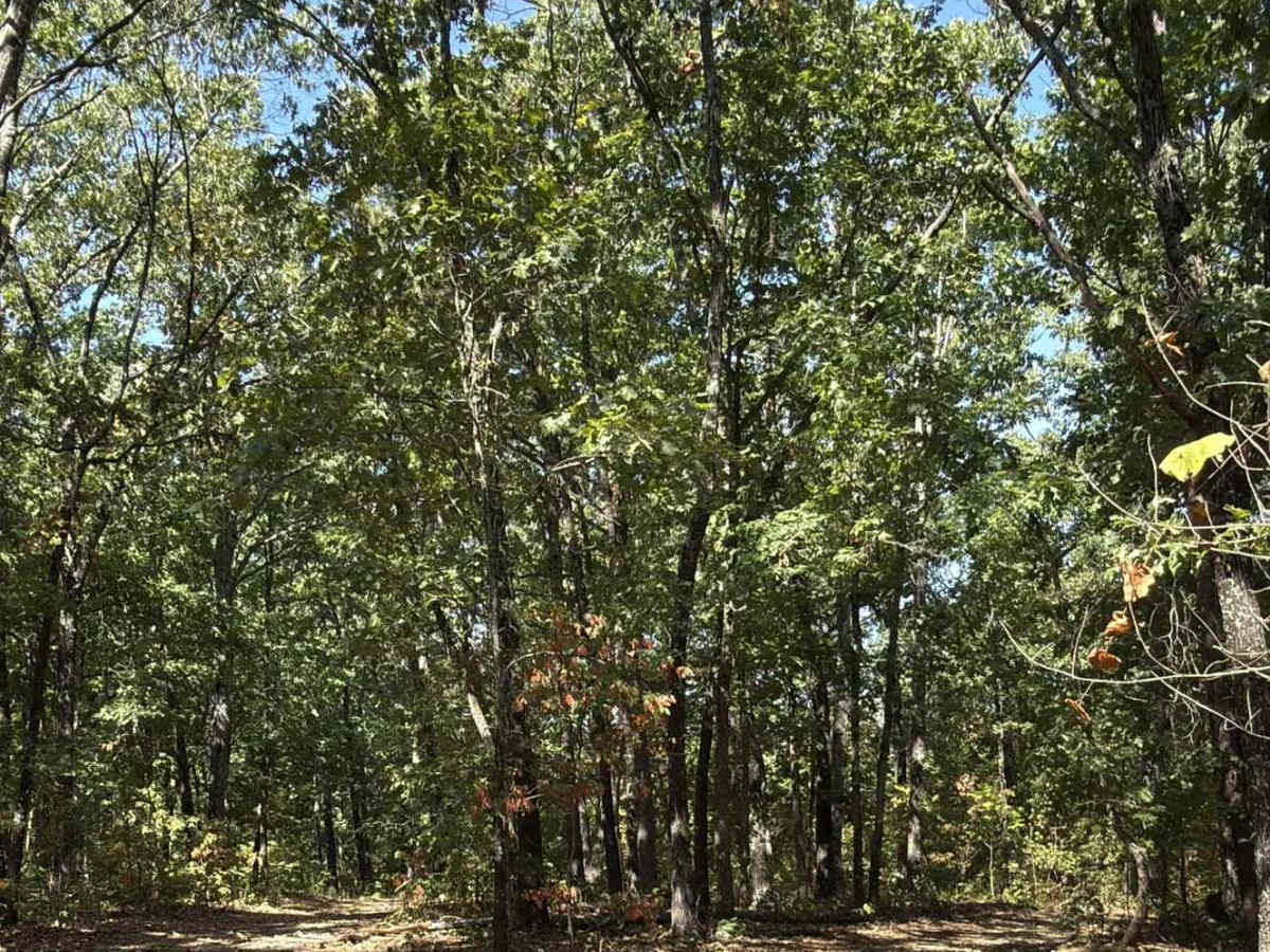 FS 324 trail photo