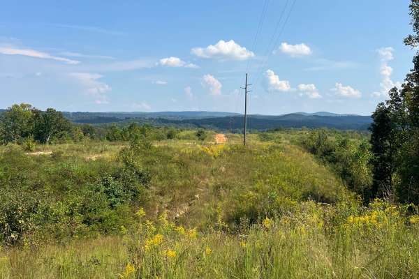 Taylor's Ridge - FS 254