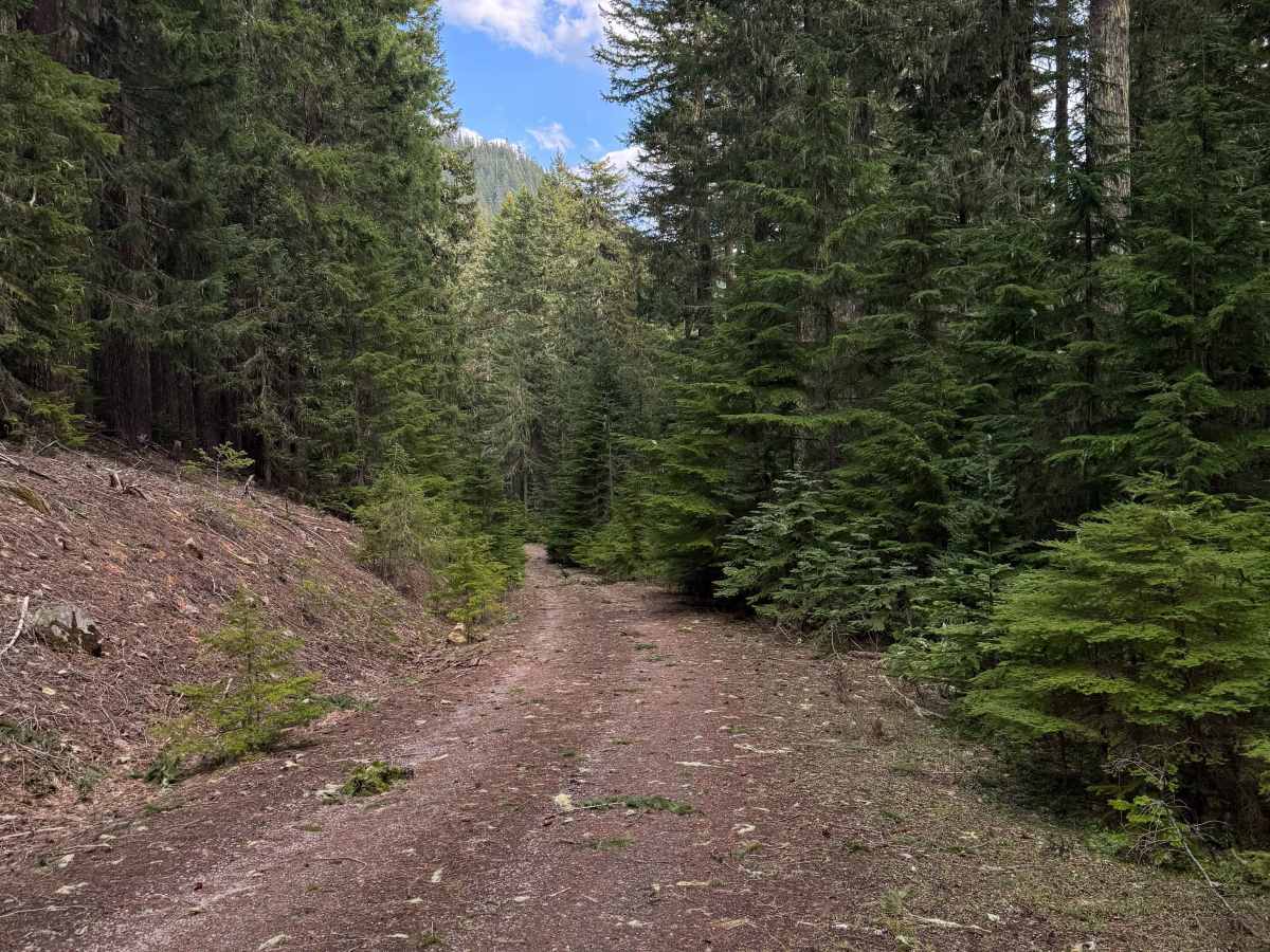 Cort Road- FS 1276 photo 5
