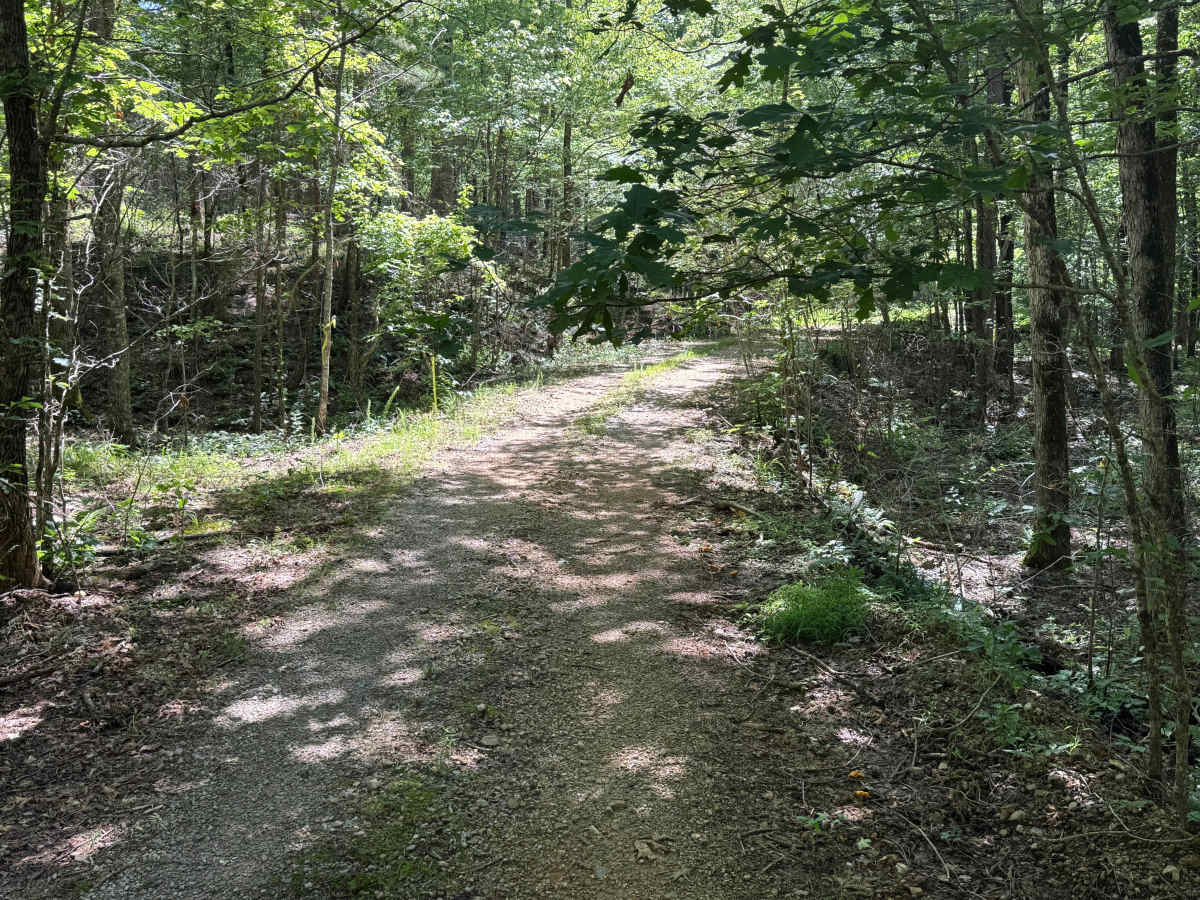 Shirley Creek Spur photo 3