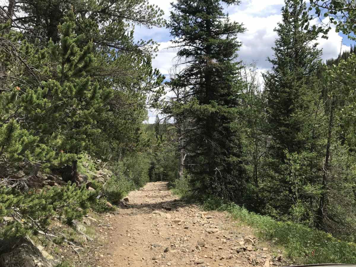 N Clear Creek Road photo 4
