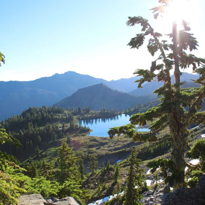 Near Lunch Lake Trail