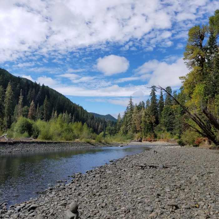 Looking upriver. We reached this area on a small side trail. Near Skokomish Lower South Fork Trail #873
