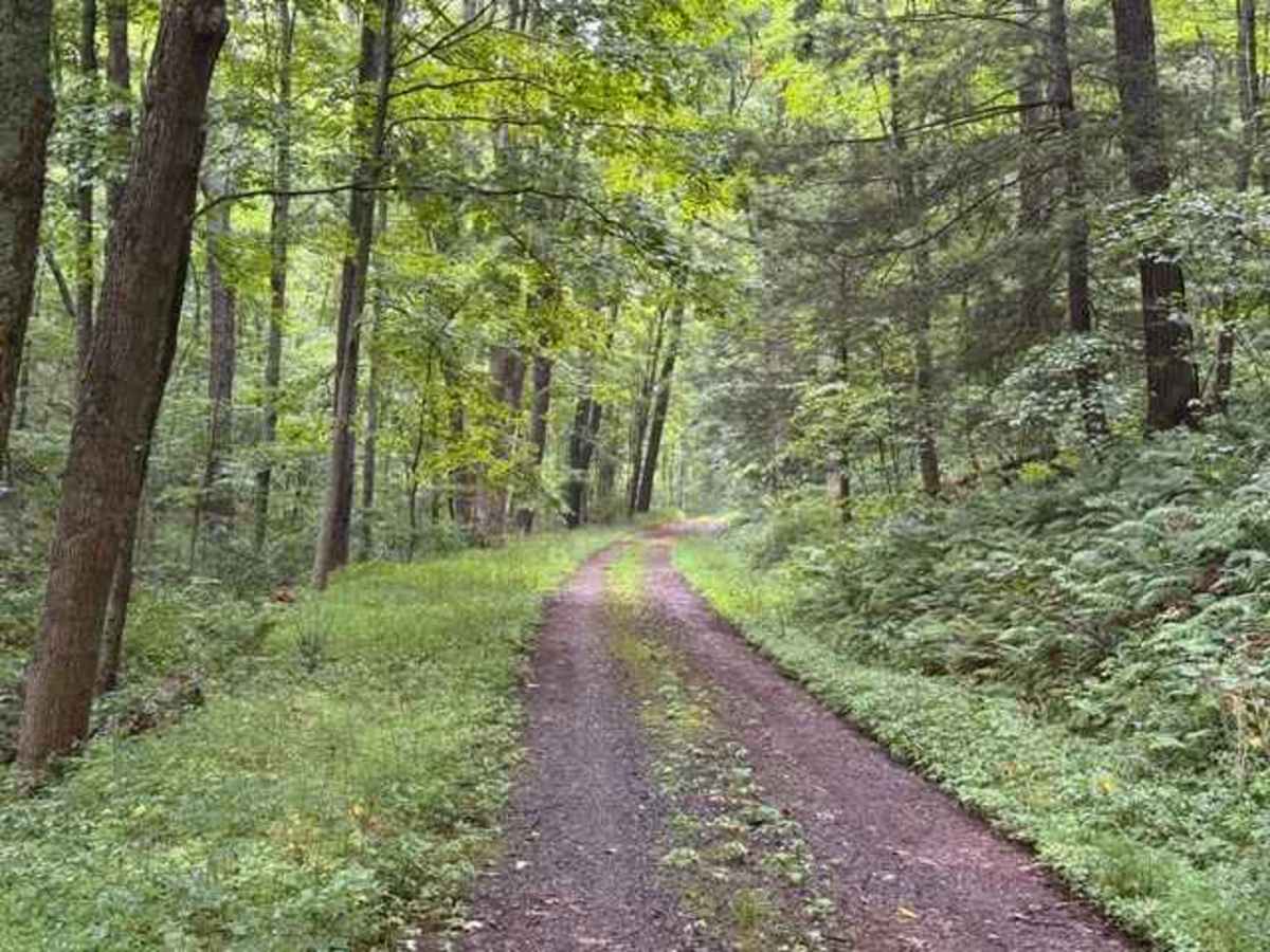 Reddinger Road photo 2