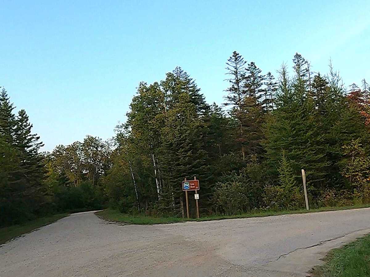 Carp River Boat Landing Road - FS 3127  photo 3
