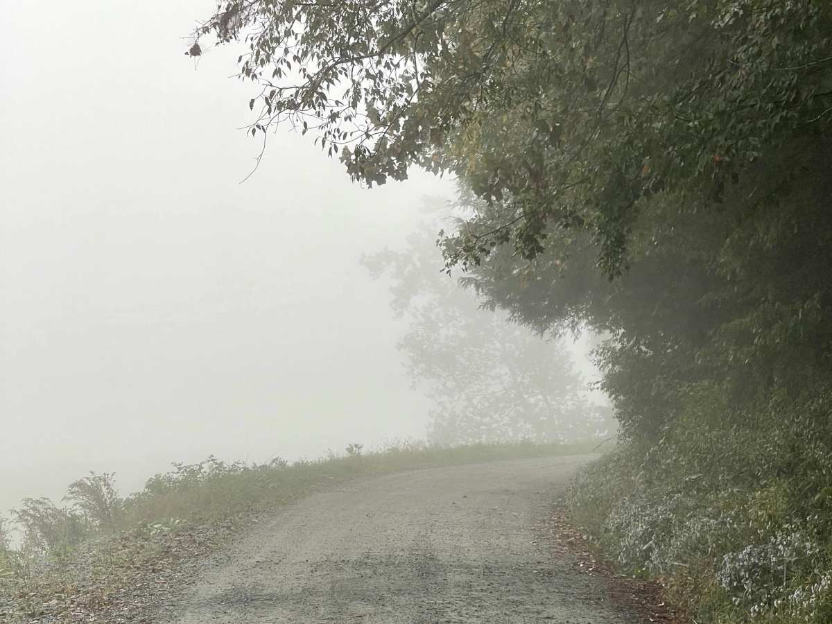 Watauga River Road trail photo