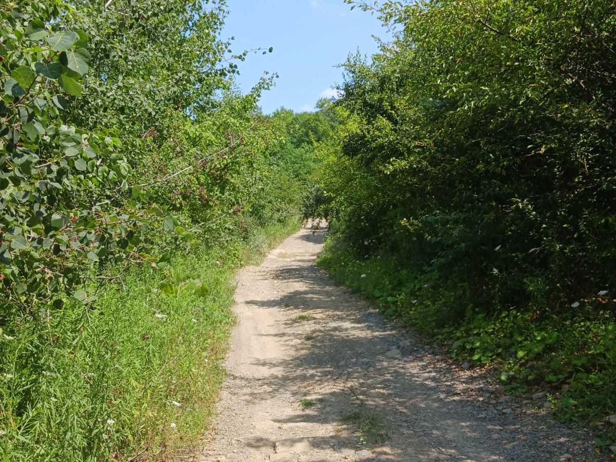 Cherry Run - Rock Run Recreation Area photo 2