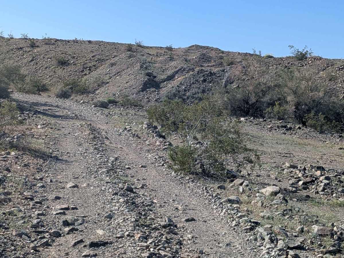 EC1277 photo 2