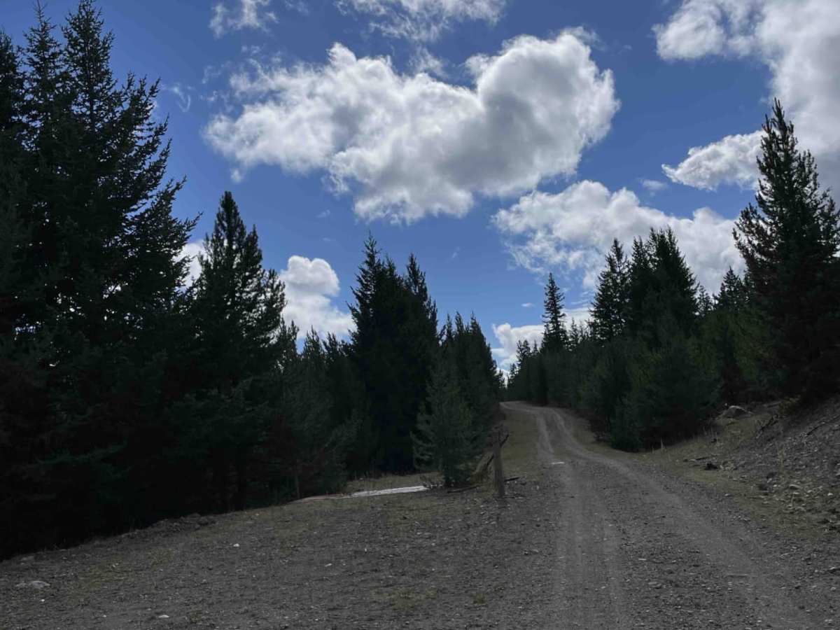 Dilly Dillard trail photo