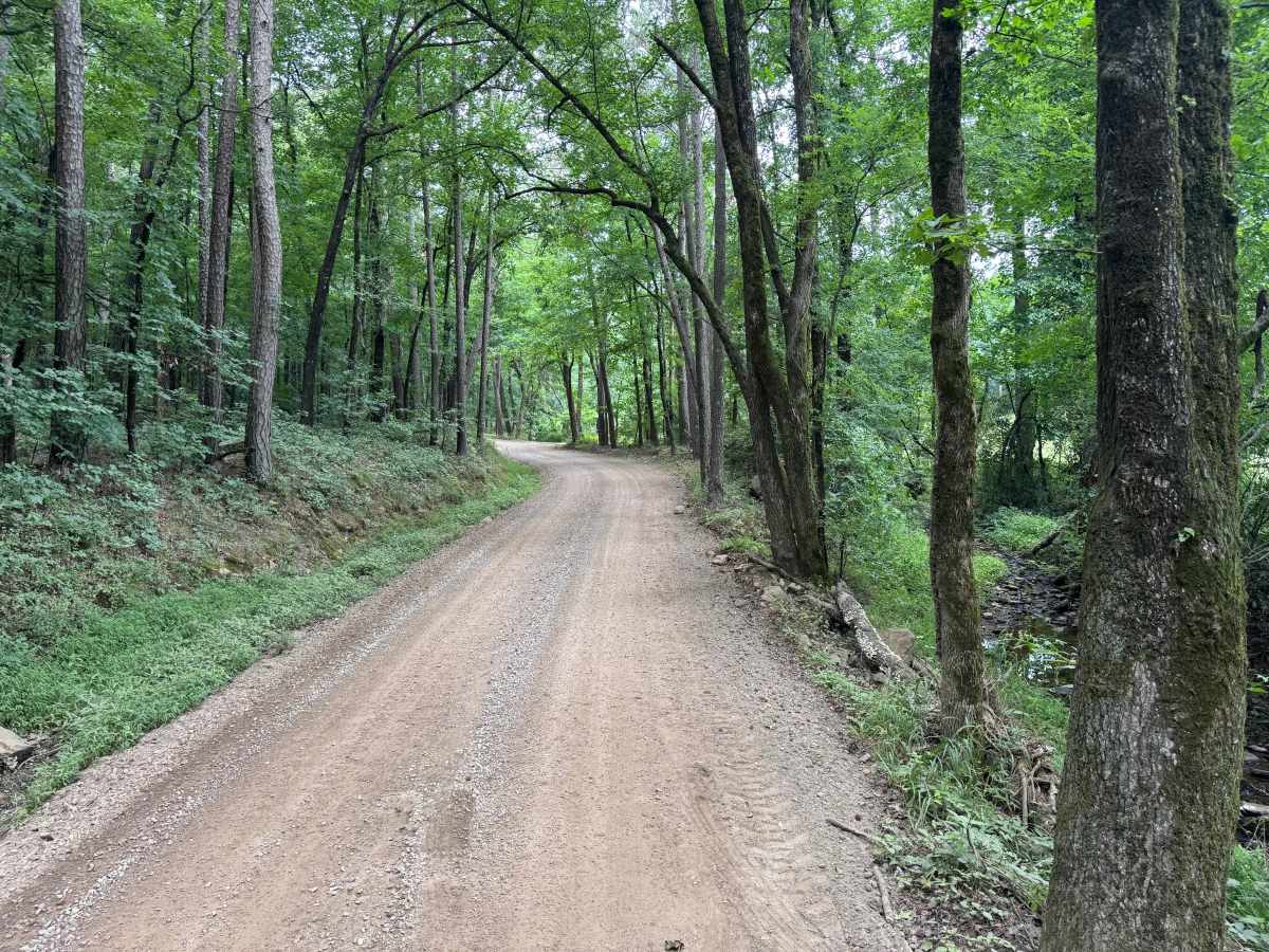 County Road 4100 photo 5