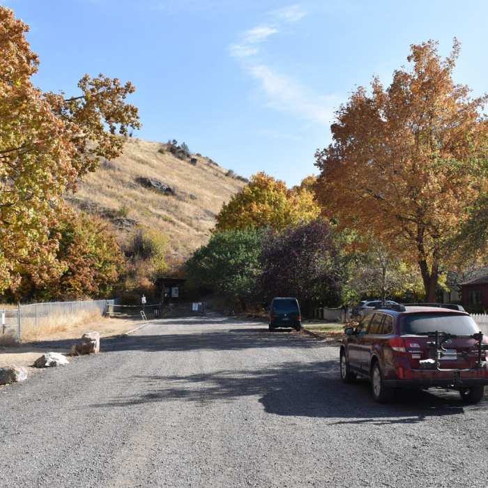 Near The L Trail + Mount Jumbo Summit Loop