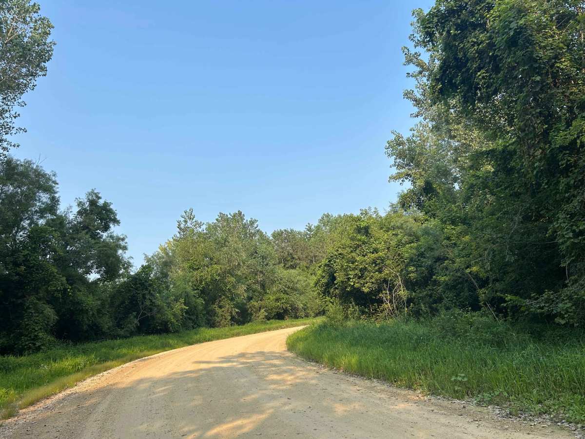 Oak Road photo 2