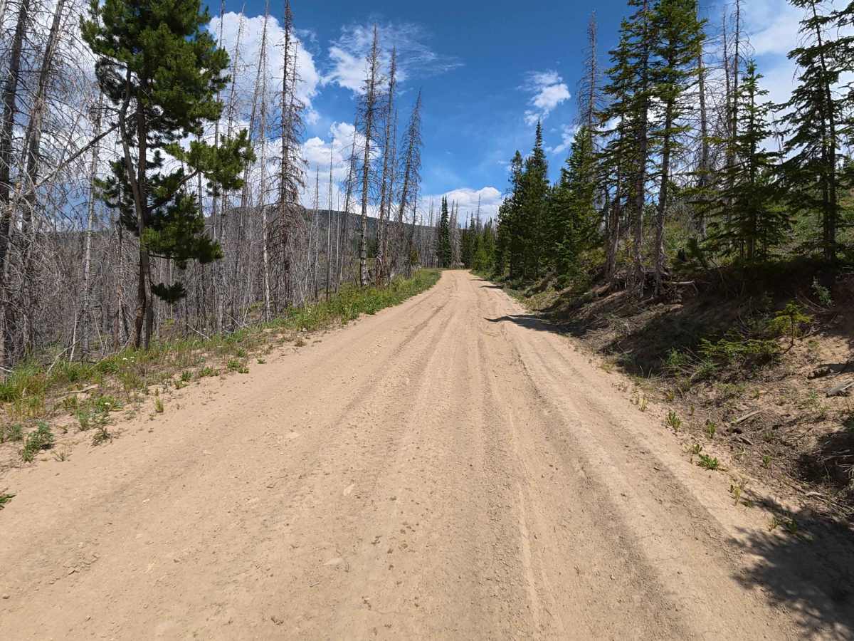 Old Corral Peak Test Road - 12 photo 3