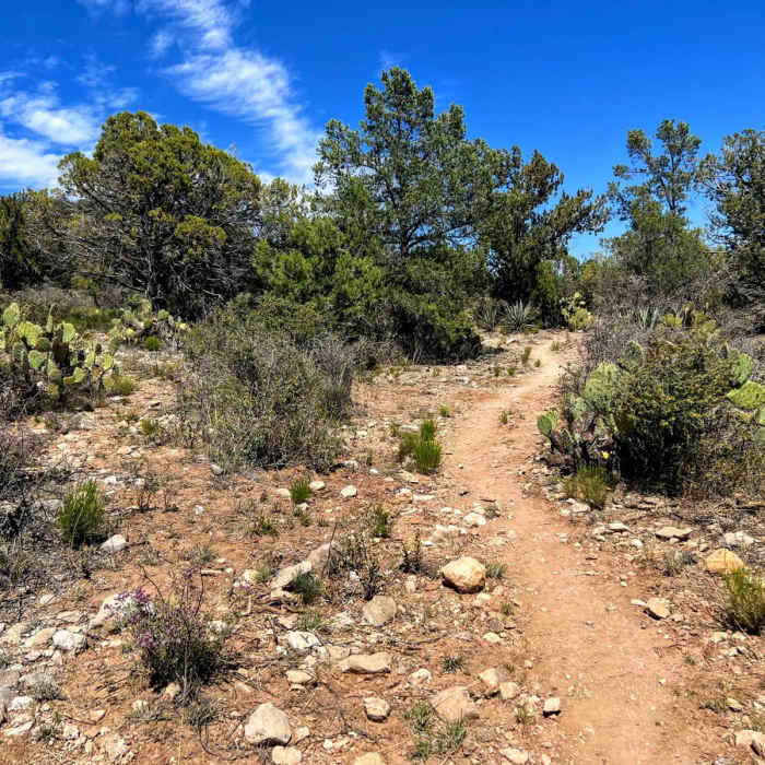 Near Arizona Trail Passage 25: Whiterock Mesa