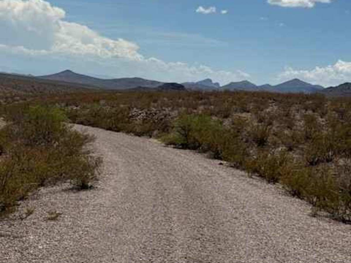 BLM PE1139 photo 3