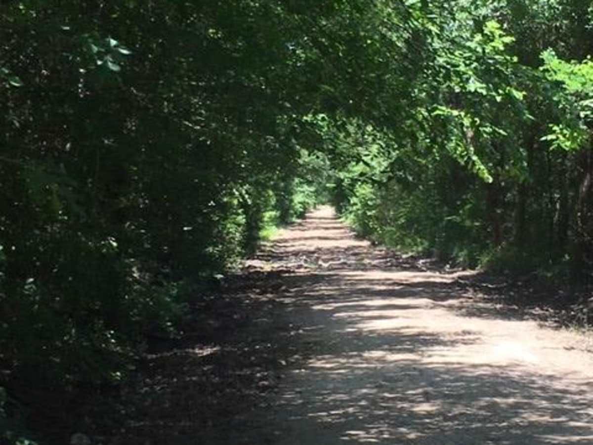 Navasota Headwaters photo 4