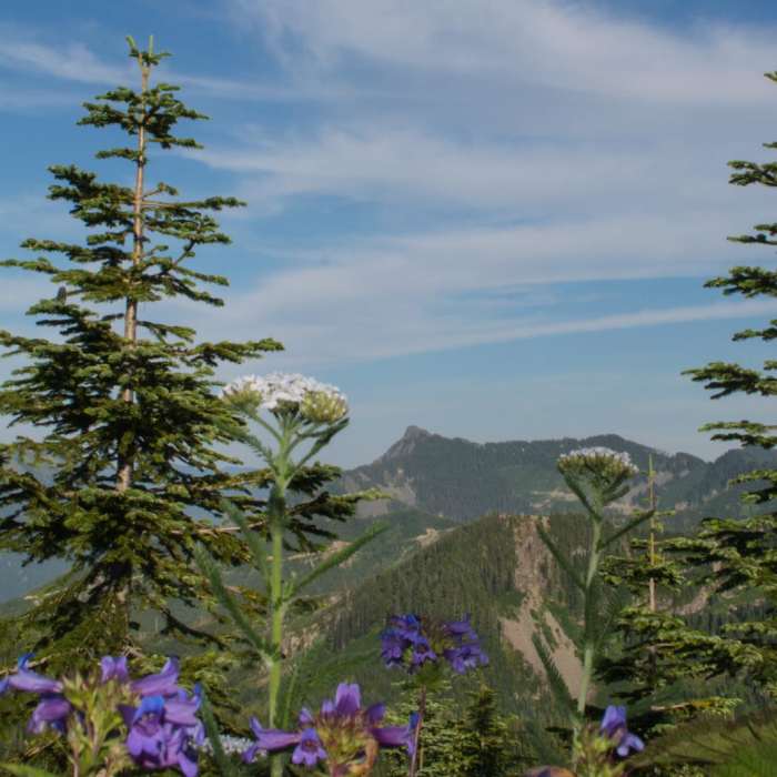 Near Mount Washington