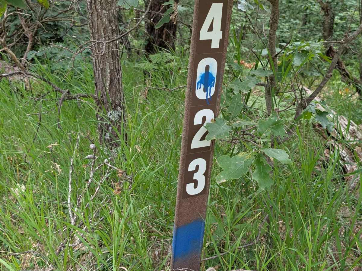 FS 4023 photo 2