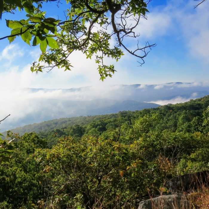 Near Schunnemunk Highlight - Otterkill to Megalith Loop