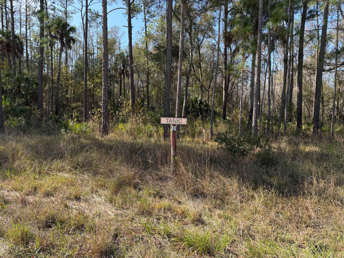 Tanic Grade trail photo